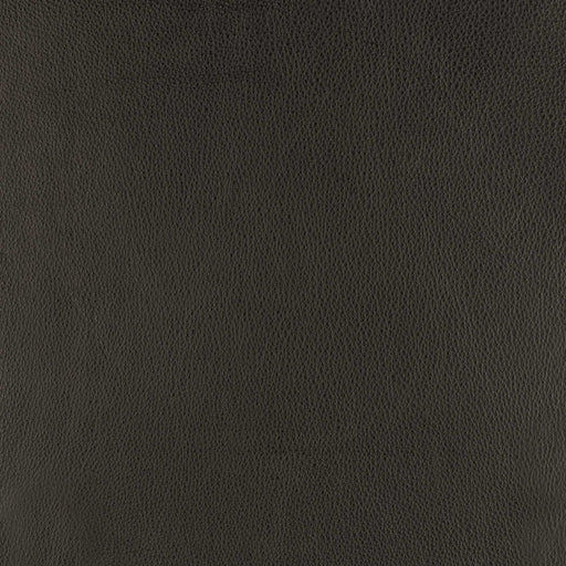 La-Z-Boy fabric swatch Rogue Chocolate (LB172979)