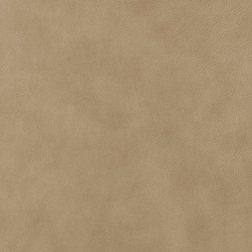 La-Z-Boy fabric swatch Central Park Dune (LB174566)