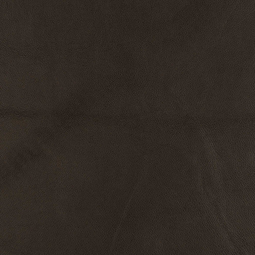 La-Z-Boy fabric swatch Indulge Truffle (LB174679)