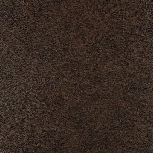 La-Z-Boy fabric swatch Ingenuity Chocolate (LB174877)