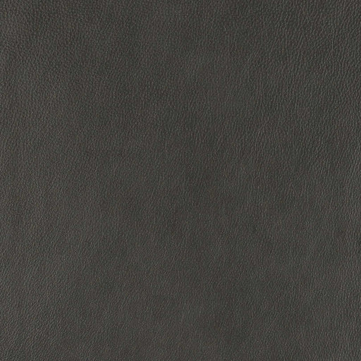 La-Z-Boy fabric swatch Elite Charcoal (LB180459)