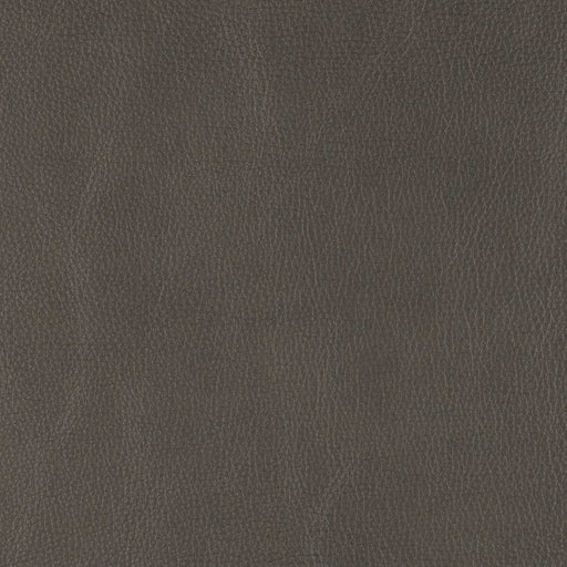 La-Z-Boy fabric swatch Camaraderie Pewter (LB185158)