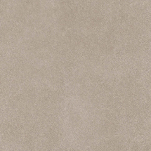 La-Z-Boy fabric swatch Topflight Ivory (LB192935)