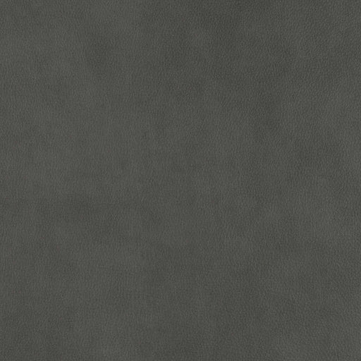 La-Z-Boy fabric swatch Topflight Slate (LB192959)