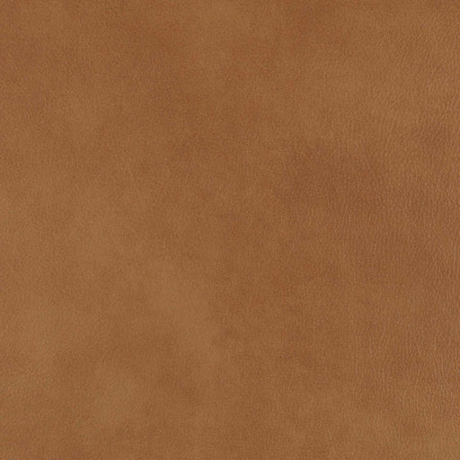 La-Z-Boy fabric swatch Topflight Camel (LB192976)
