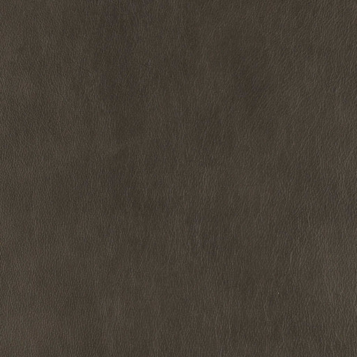 La-Z-Boy fabric swatch Topflight Mineral (LB192979)