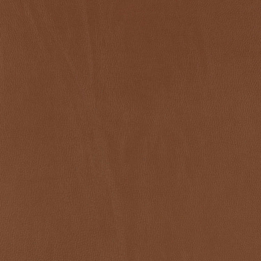 La-Z-Boy fabric swatch Salvo Caramel (LB193077)