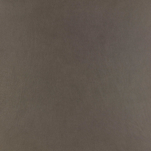 La-Z-Boy fabric swatch Sutton Greystone (LB206054)