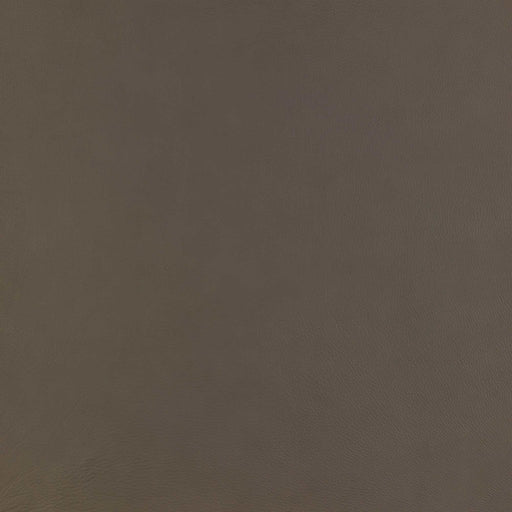 La-Z-Boy fabric swatch Gambit Otter (LB206178)