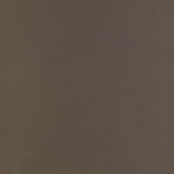 La-Z-Boy fabric swatch Gambit Otter (LB206178)