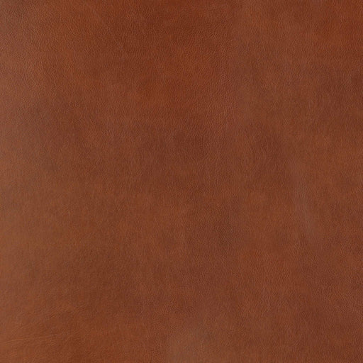 La-Z-Boy fabric swatch Clifton Chestnut (LB206219)