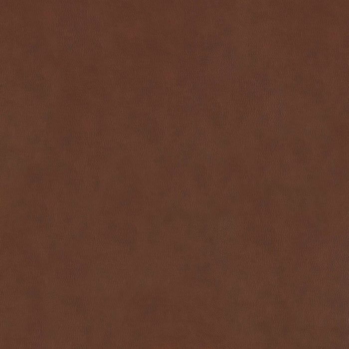 La-Z-Boy fabric swatch Dean Chestnut (LB206376)