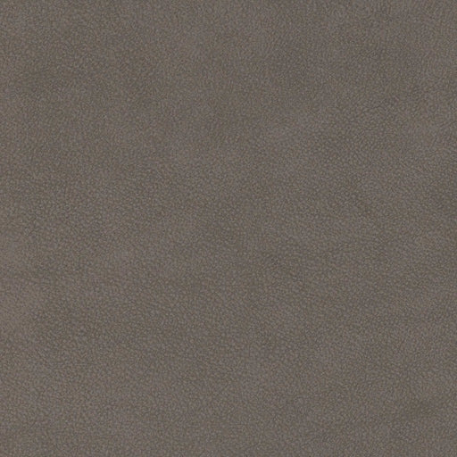 La-Z-Boy fabric swatch i-Blackhawk Iron (Q191257)