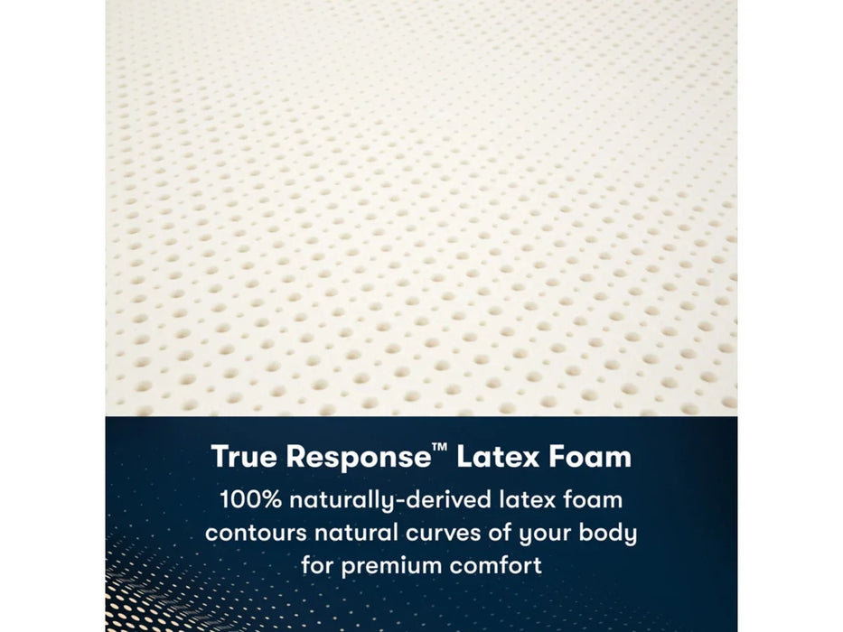 iComfortPro Ambrose Plush 13" Mattress by Serta