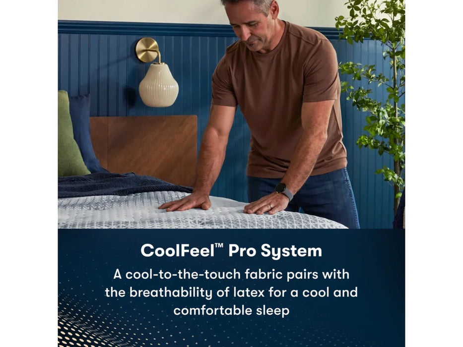 iComfortPro Ambrose Plush 13" Mattress by Serta