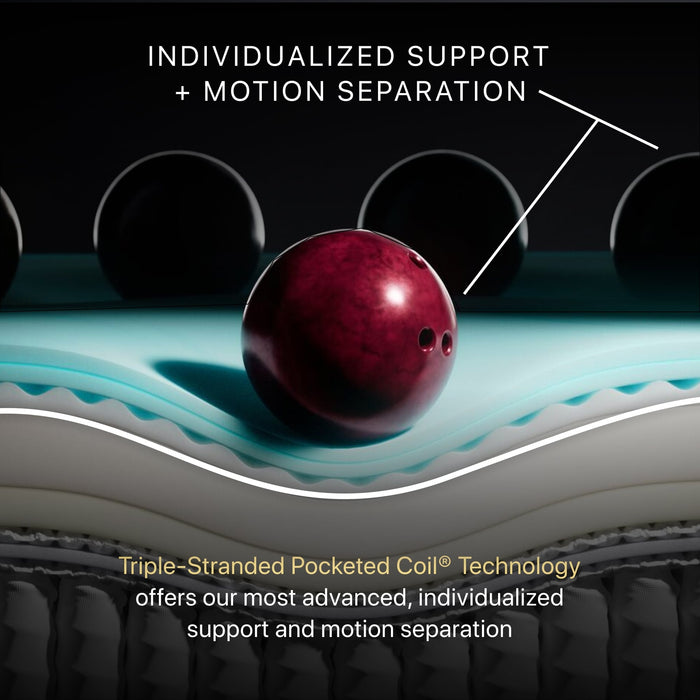 Black Series Two 13.5" Hybrid Plush Mattress by Beautyrest