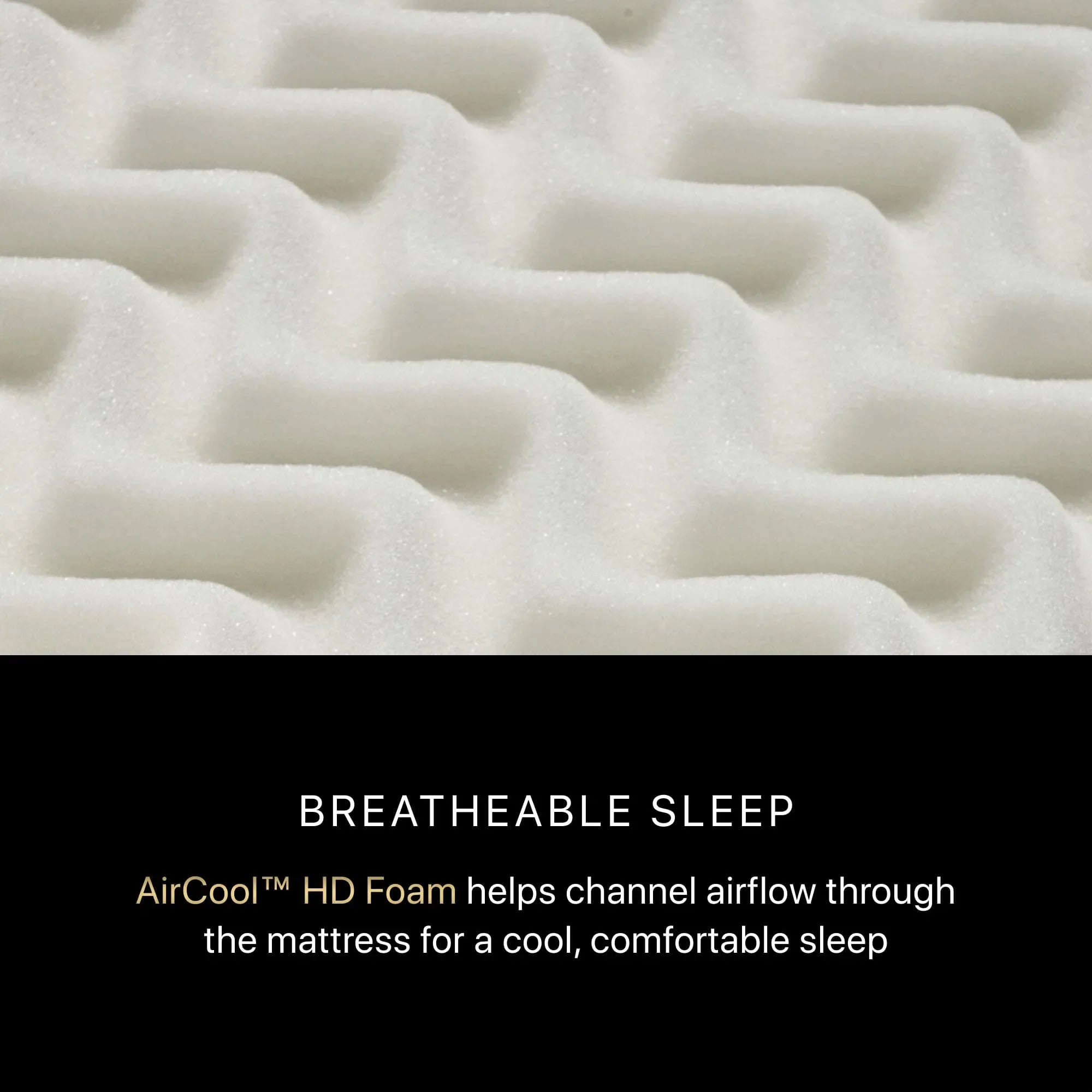 Black Series Three 16.5" Firm Pillow Top Mattress by Beautyrest