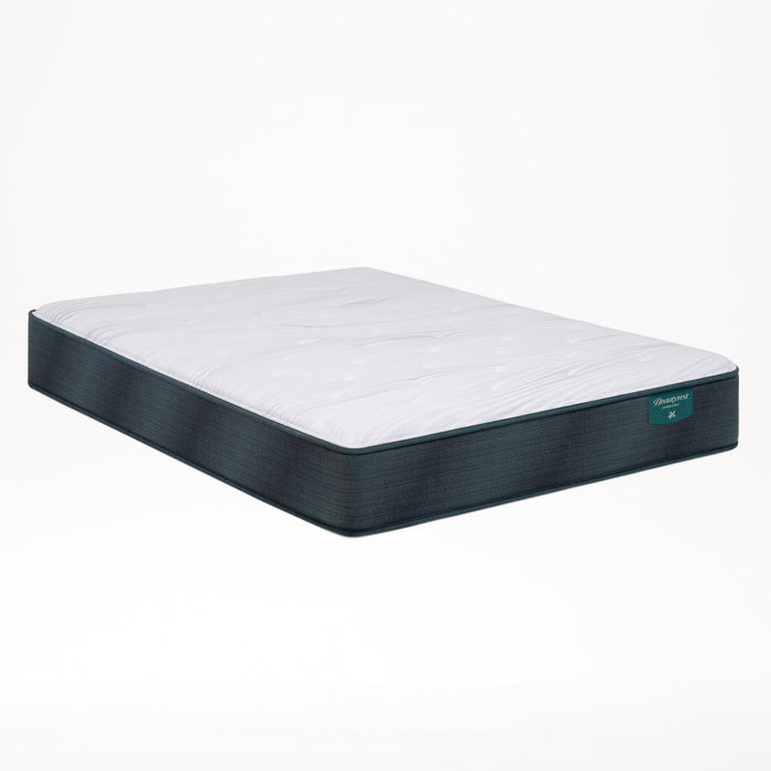 Harmony Beachfront Bay 12.25" Plush Mattress by Beautyrest