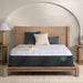 Harmony Cypress Bay 13.25" Medium Mattress by BeautyRest | Sustainable, Breathable Fabric