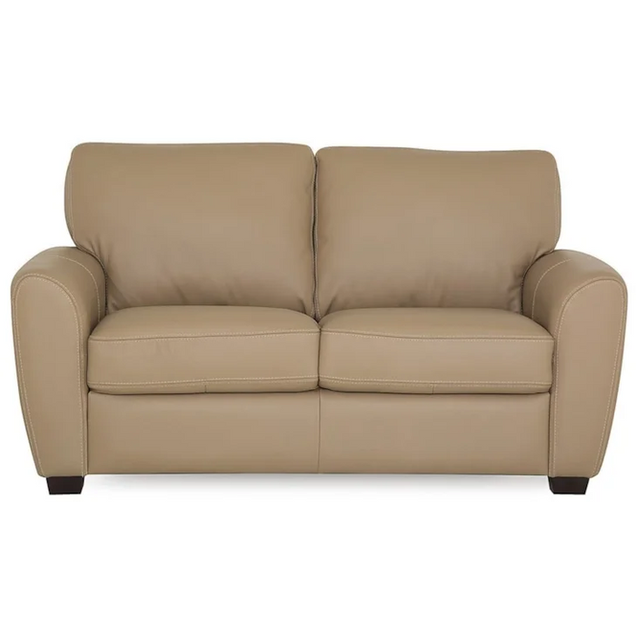 Connecticut Contemporary Loveseat with Rounded Track Arms by Palliser