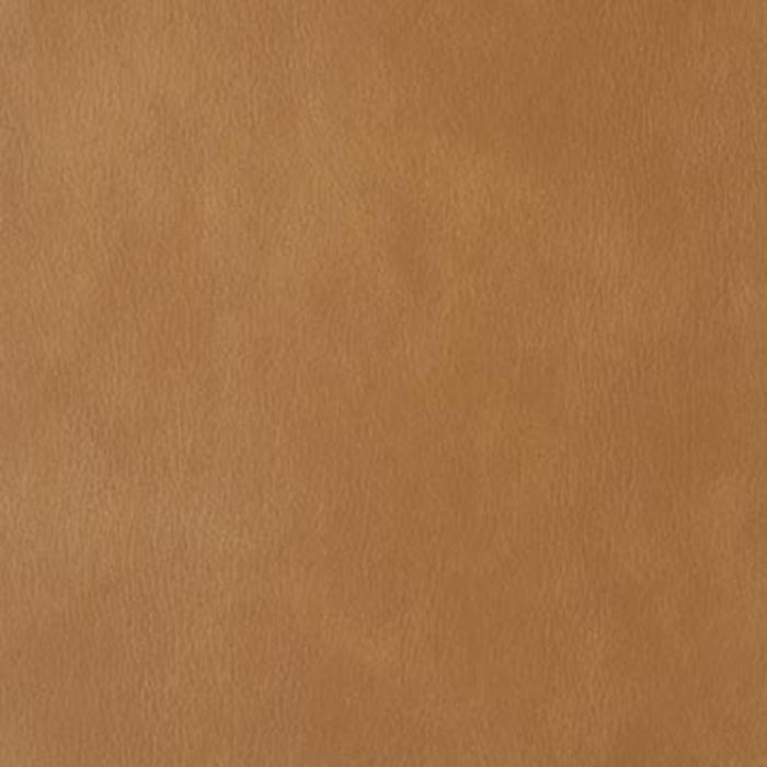 Mega Motion MM-1652SO iNFI POCO lift recliner in Watford Honey