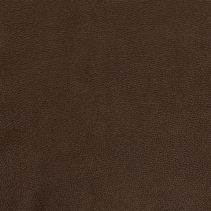 Mega Motion MM-3975 power lift recliner in Coffee