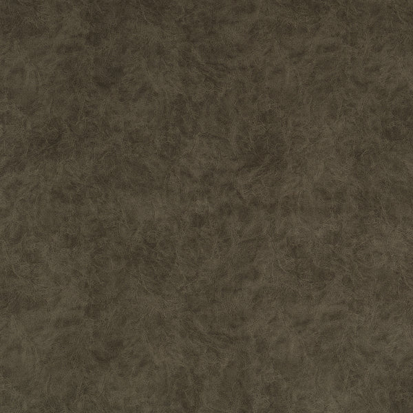 Mega Motion MM-5401 in Kaysen Mushroom