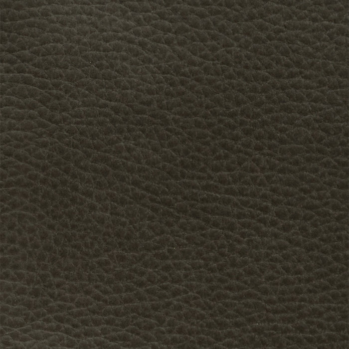 Mega Motion MM-8945 power lift recliner in Capriccio Smoke